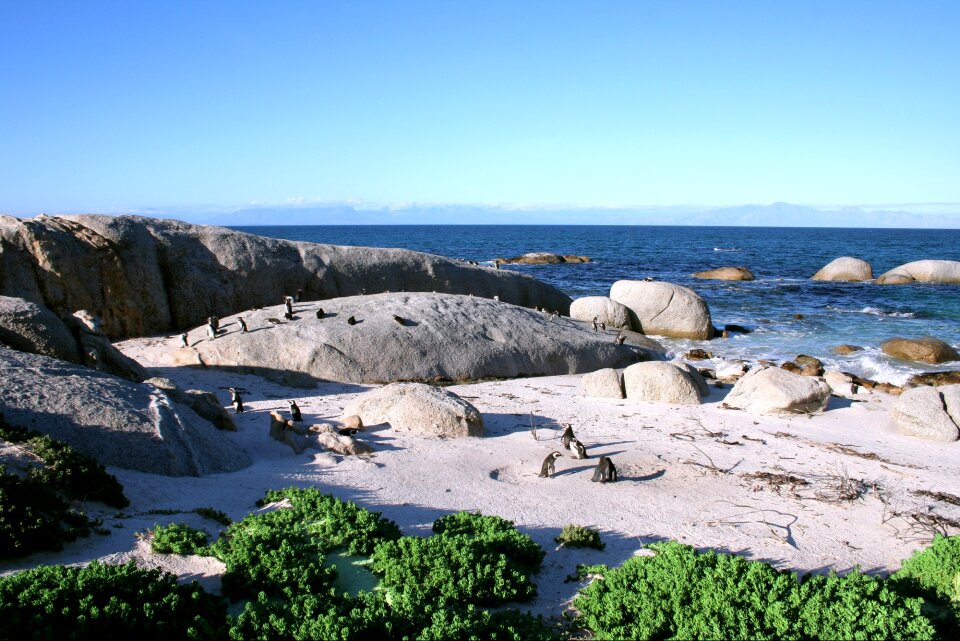 South africa coast sea
