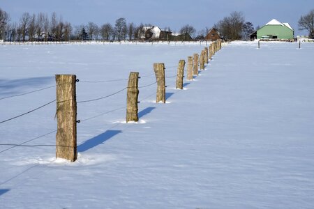 Fence posts agriculture winter photo