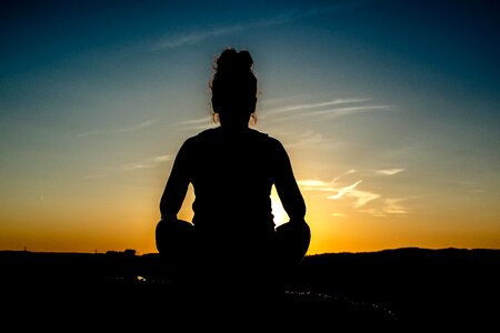 Dawn nature backlit