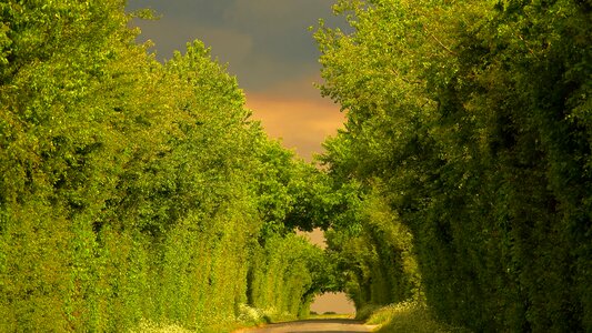 Country road saint aubin Free photos