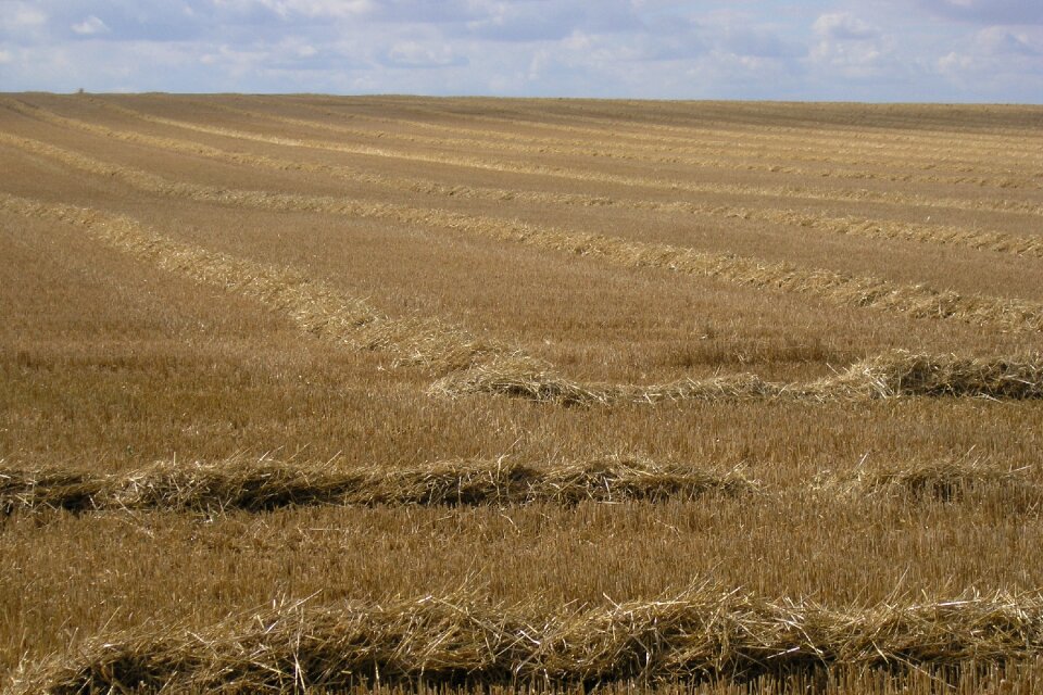 Landscape earth agriculture