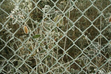 Iron barrier web
