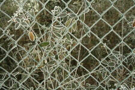 Iron barrier web photo