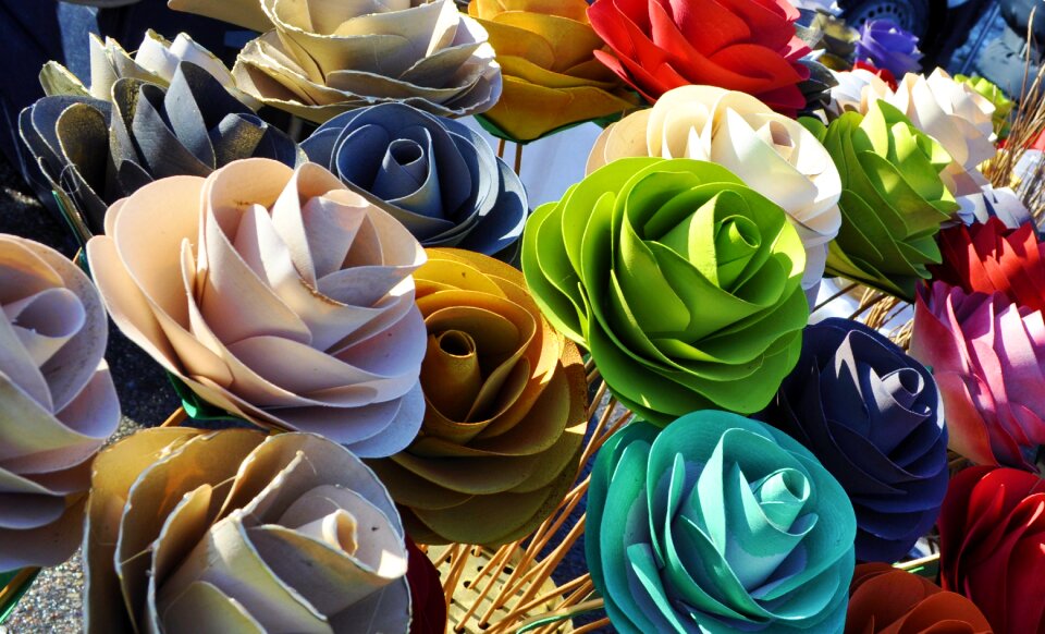 Color gift beautiful