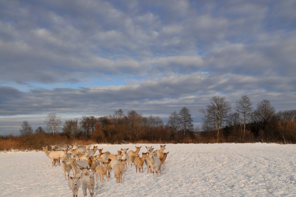 Cold landscape weather