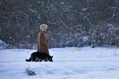 Cold frost shepherd