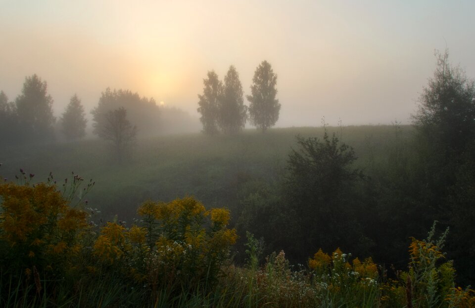 Fog dawn landscape photo