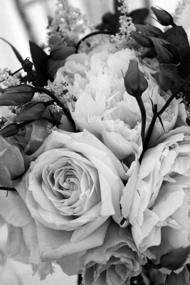 Romance wedding romantic