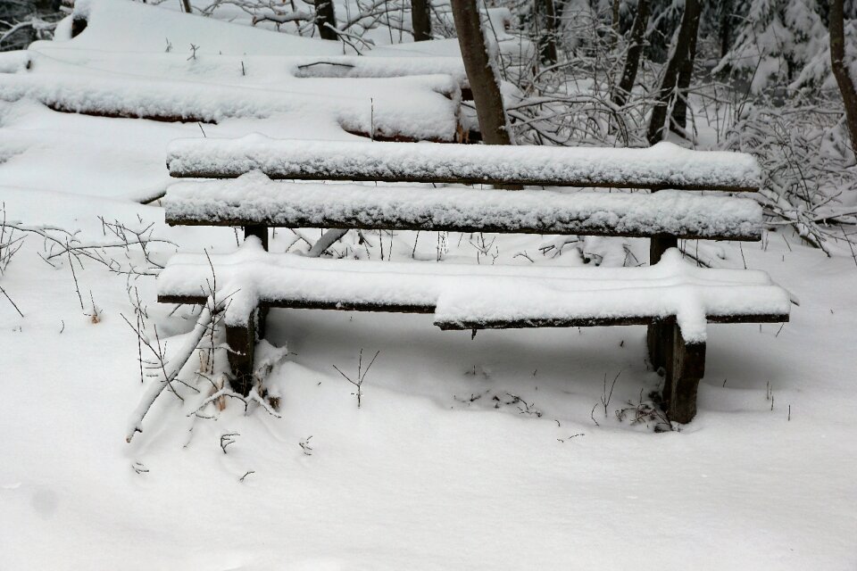 Wood frost frozen
