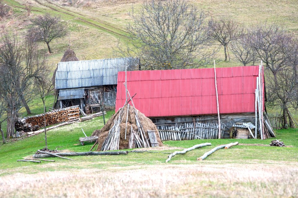 Farm wood