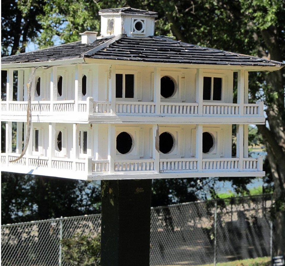 Nest white bird house photo