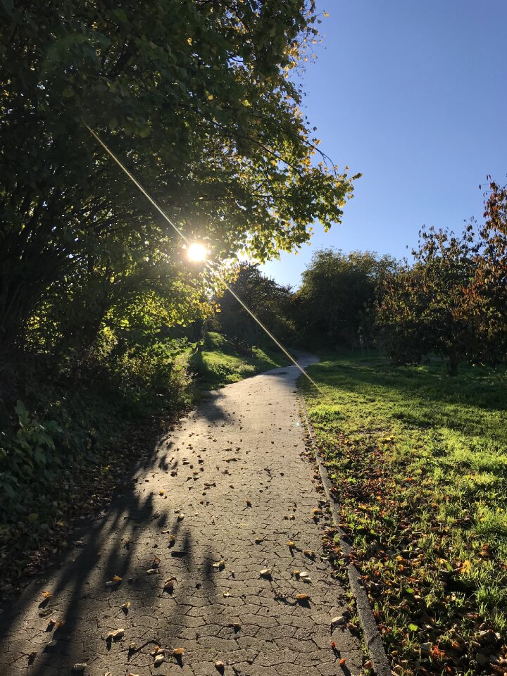 Autumn sunset lighting