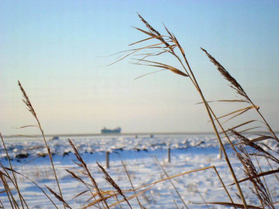 Beach sea coast