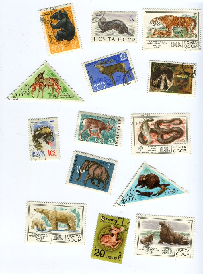 Wealth currency stamp