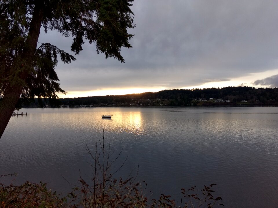 Bay nature lone boat photo