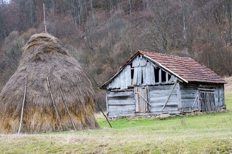 Shed grass gray farm