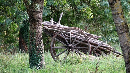 Old cart in charge of the old wood Free photos