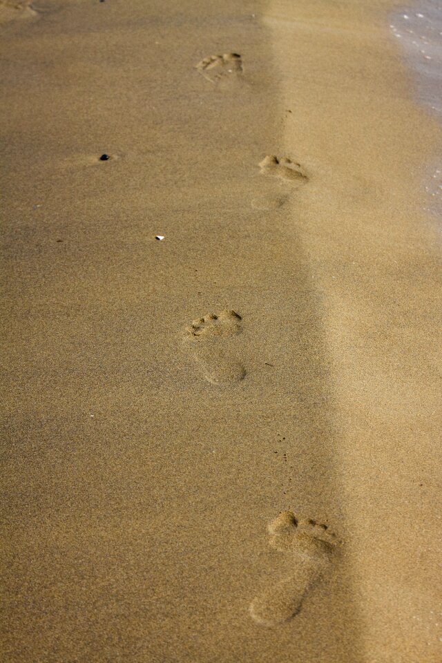 Coast sea sandy