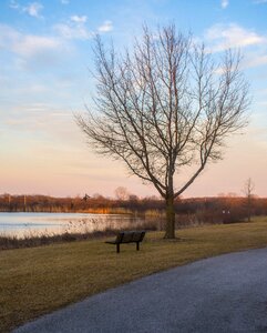 Dawn outdoors fall photo