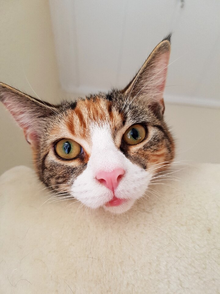 Expensive cute portrait