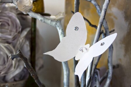 Twigs colors white butterfly