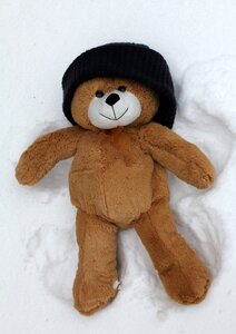 Winter bear woolly hat photo