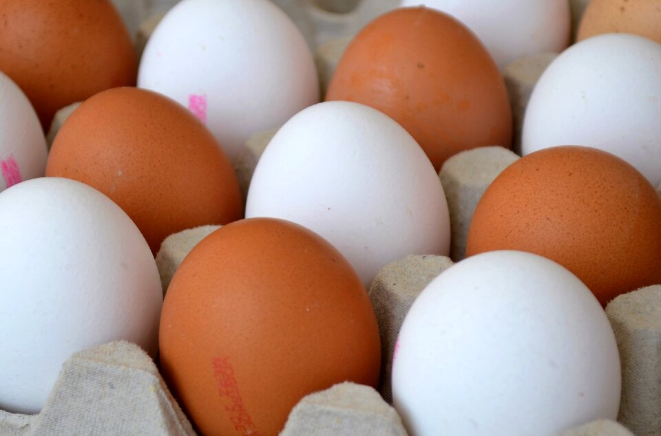 Easter egg shell egg