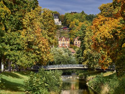 Park autumn river