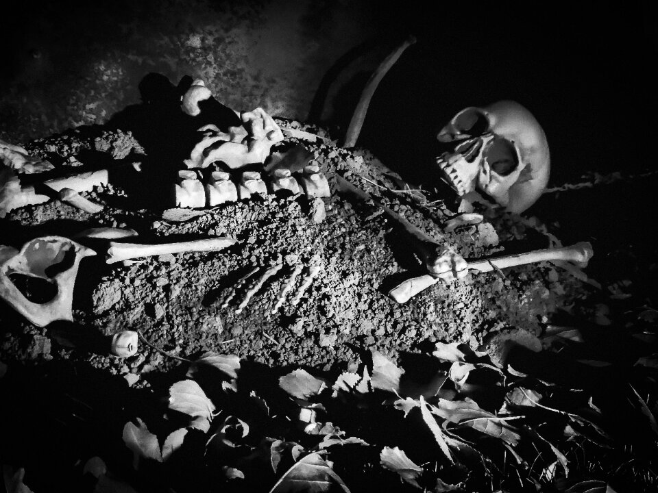 Scary skull holiday