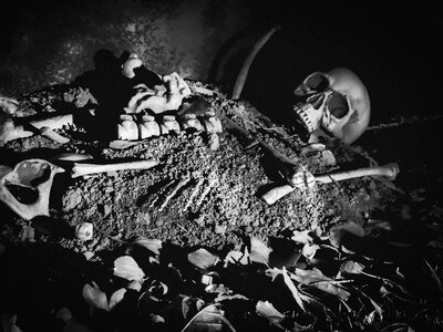 Scary skull holiday