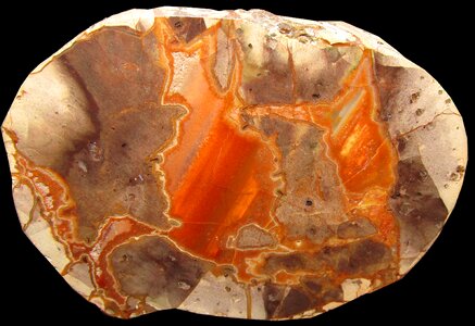 Collection geological