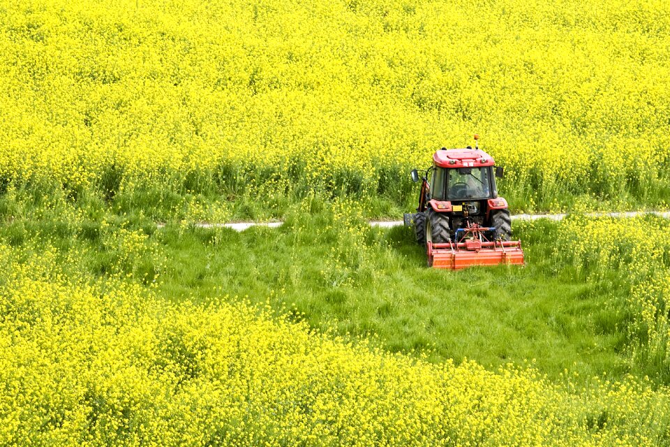 Field farming farmer