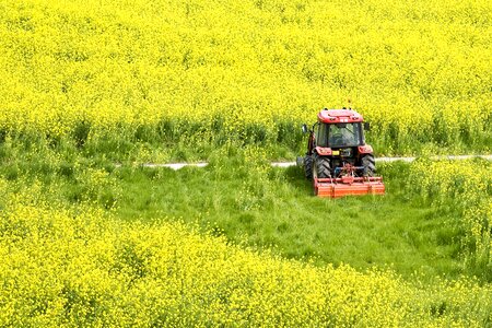 Field farming farmer