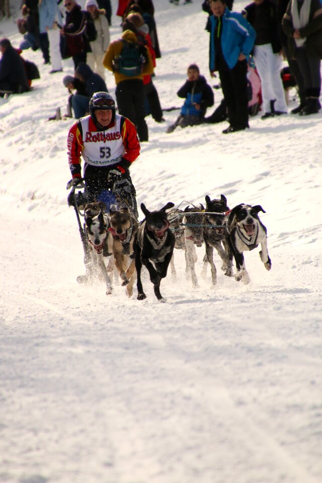 Winter action movement