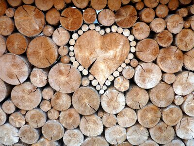 Pile wood pattern photo