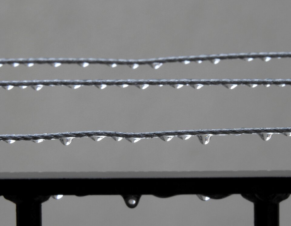 Drops rain Free photos