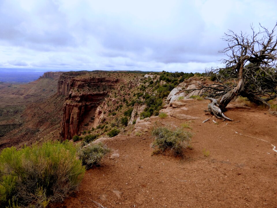 Option canyon sky
