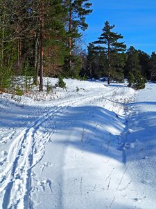 Season ski trails björnö