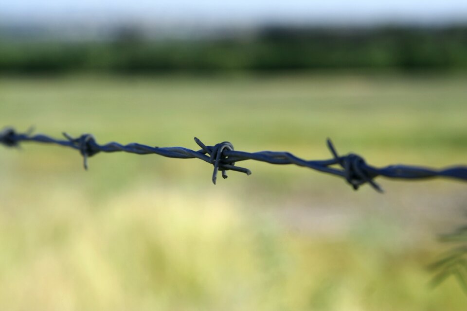 Barbed wire cambo Free photos
