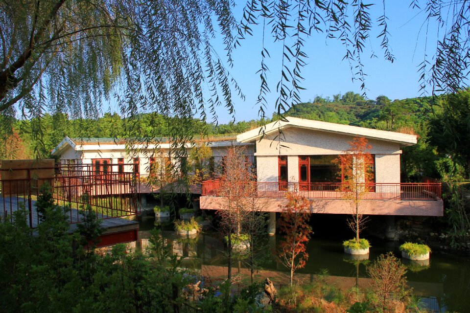 Nature wood restaurants