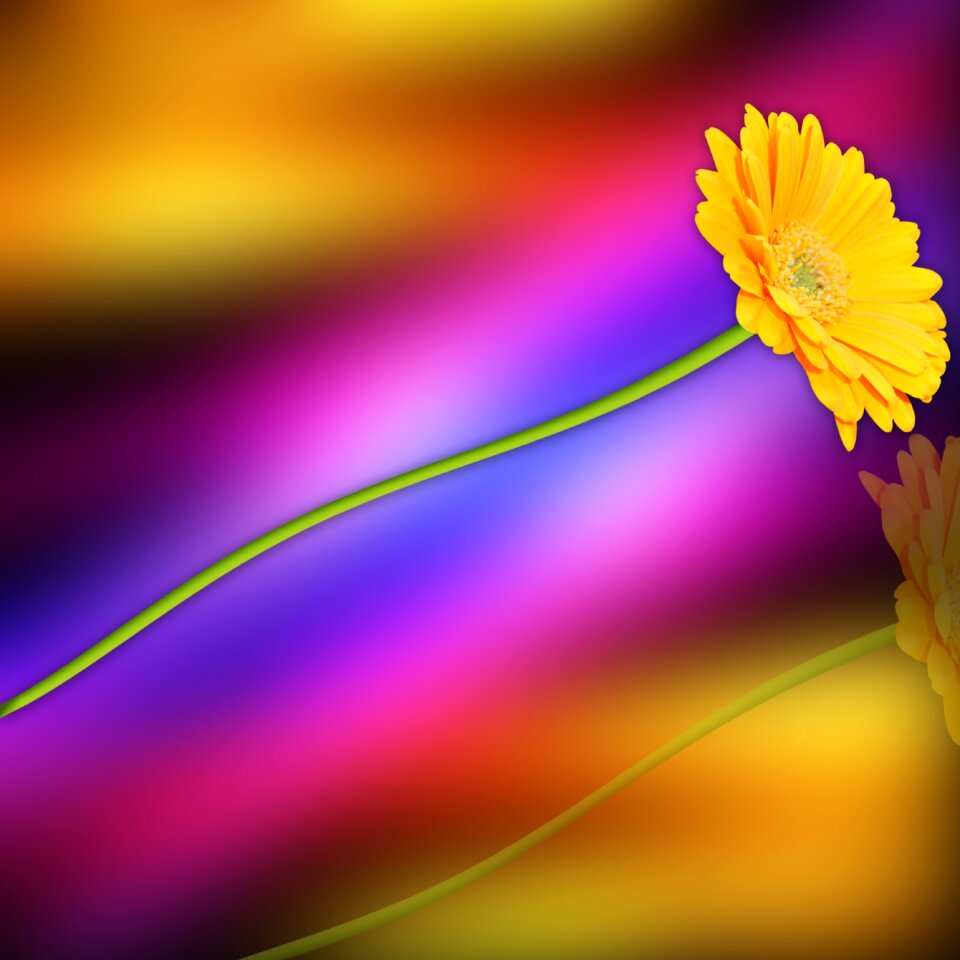 Summer color colors