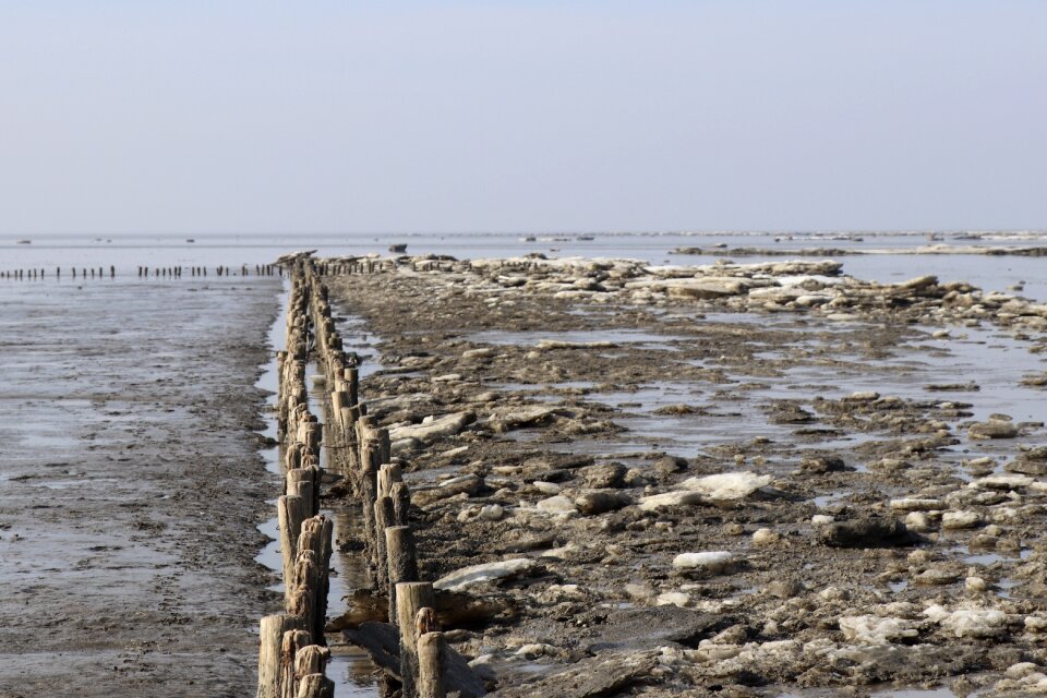 Sea nature beach