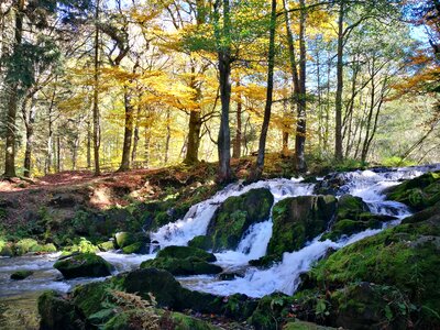 Wood autumn waterfall photo