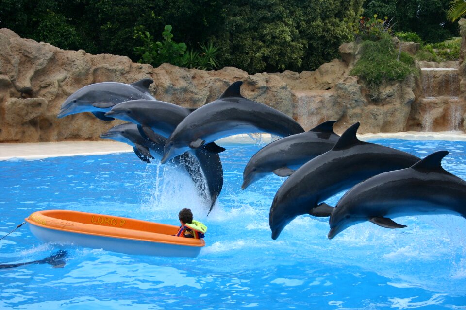 Show water theme park