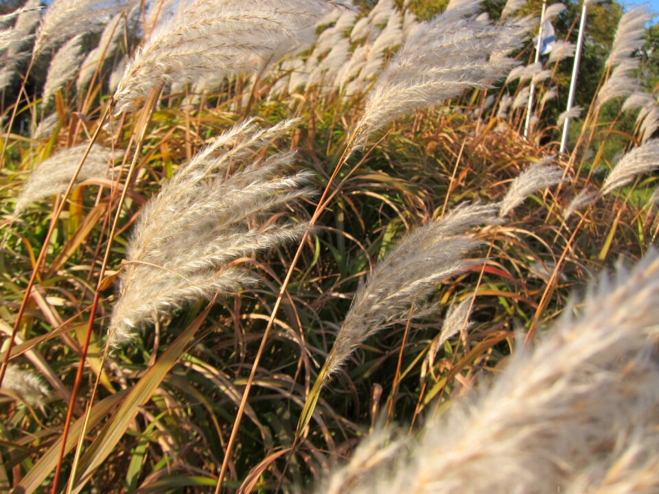 Field outdoors season