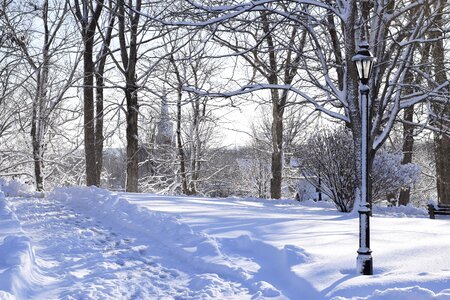 Cold season march 8