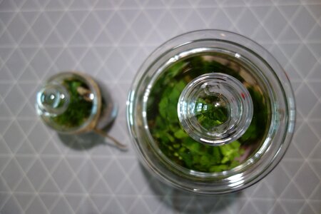Plants forest in a jar macro