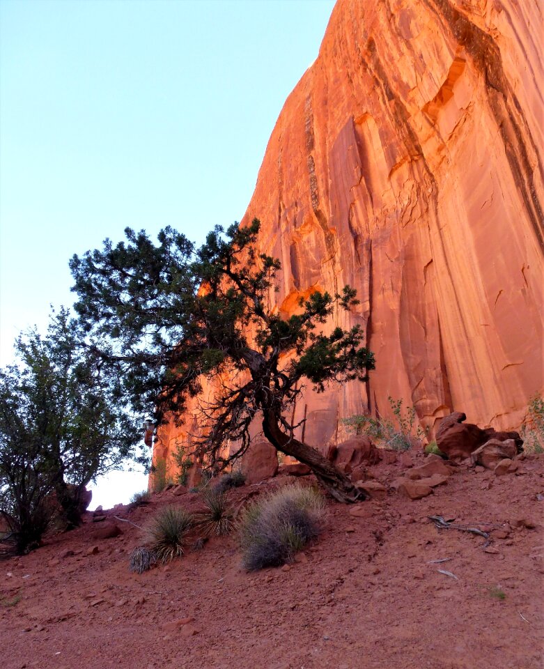 Outdoor desert pink sandstone