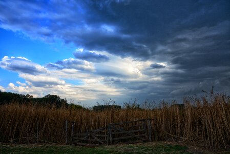 Outdoors field gate