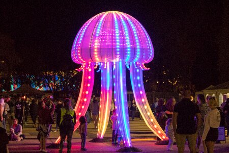 Festival evening illuminated
